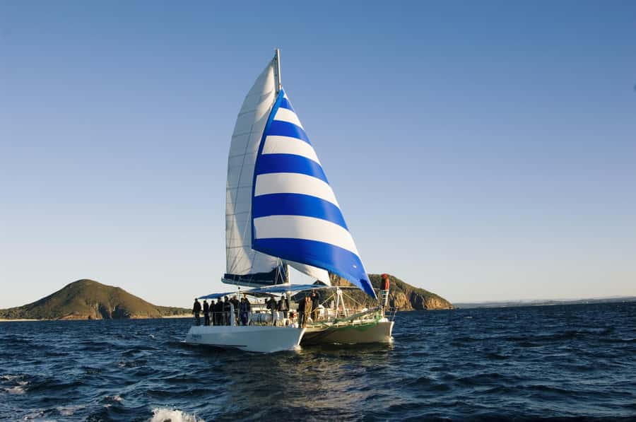Nelson Bay: Dolphin Watch Cruise and Sail - Key Things That Make Imagine Dolphin Watching Work