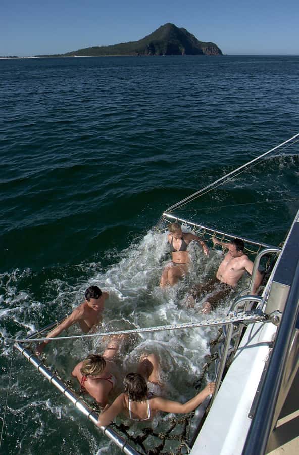 Nelson Bay: Dolphin Watch Cruise and Sail - Should You Book This Dolphin Watch Cruise?