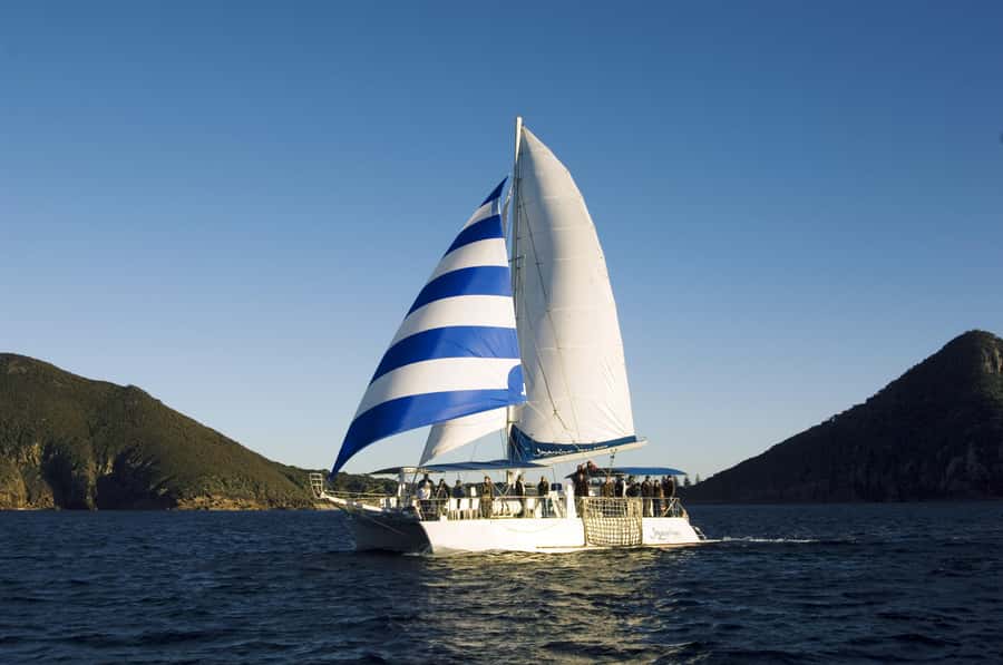 Nelson Bay: Dolphin Watch Cruise and Sail - FAQ