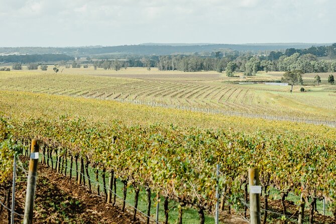 Newcastle: Boutique Hunter Valley Wine Tour - Stop 1 at Hungerford Hill: broad selection without the stress