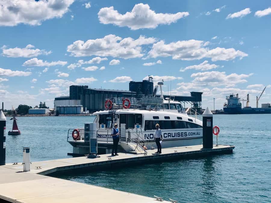 Newcastle: Humpback Whale Watching Cruise and Harbor Tour - Tea, Coffee, and Hot Chocolate While You Wait