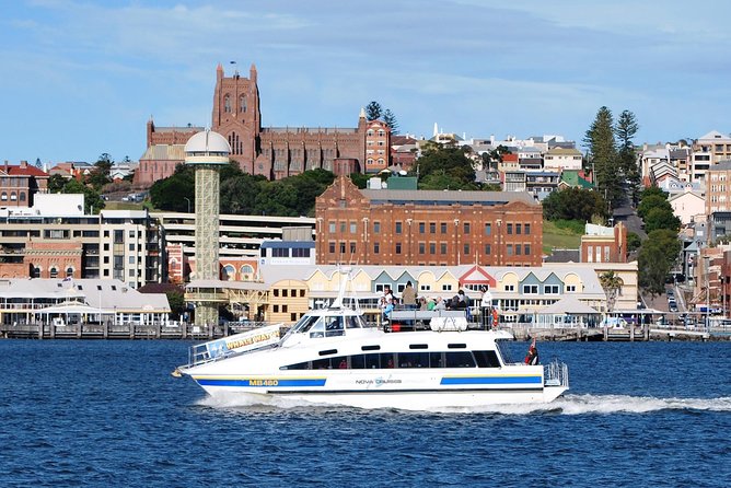 Newcastle Whale Watching Cruise - NOVA Cruises Since 2006: Why This Operator Feels Reliable