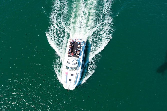 Newcastle Whale Watching Cruise - The 2.5-3 Hour Timeline: What Your Time on the Water Actually Covers