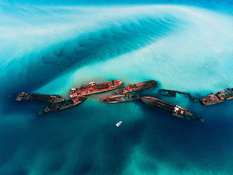Newport: Moreton Island Snorkeling Tour with Lunch - Key Things to Know Before You Go