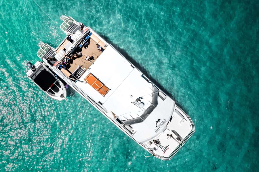 Newport: Moreton Island Snorkeling Tour with Lunch - Price and Value: Is $131 Worth It for This Newport Day?