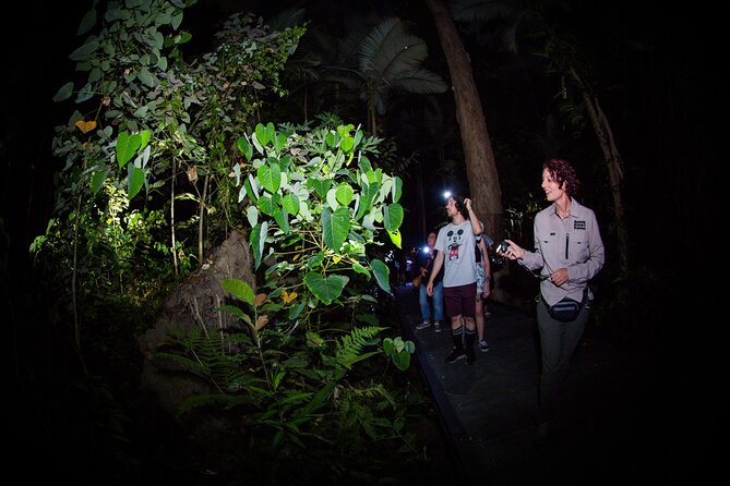 Night Walk in Cairns Botanic Gardens - Let's Go Buggin - Getting sharper shots: macro camera hire options and who should use them