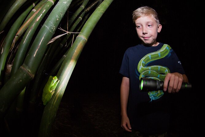 Night Walk in Cairns Botanic Gardens - Let's Go Buggin - Wildlife spotting is the teacher, not an afterthought
