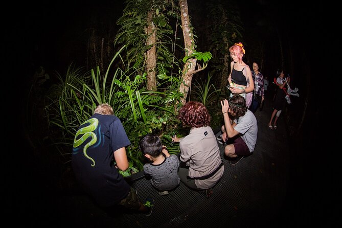 Night Walk in Cairns Botanic Gardens - Let's Go Buggin - Price and value for $57.38, plus optional camera hire