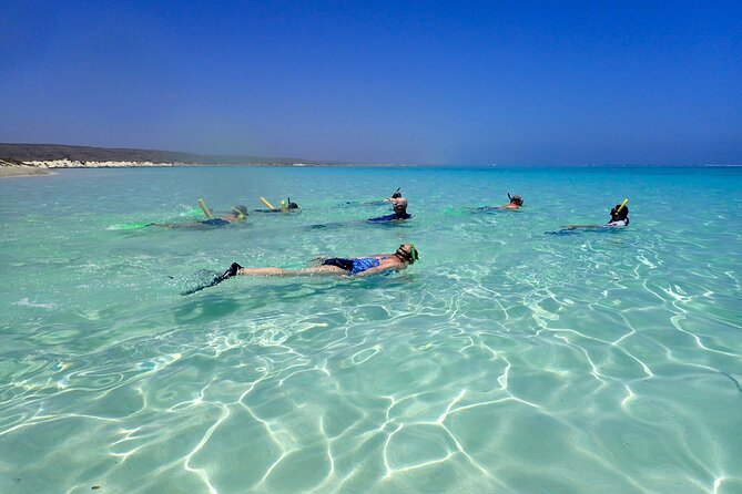 Ningaloo Reef Snorkel Adventure - Why this Ningaloo shore-snorkel day feels so easy