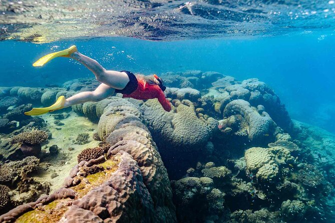 Ningaloo Reef Snorkel Adventure - Turquoise Bay: your first guided shore snorkel stop