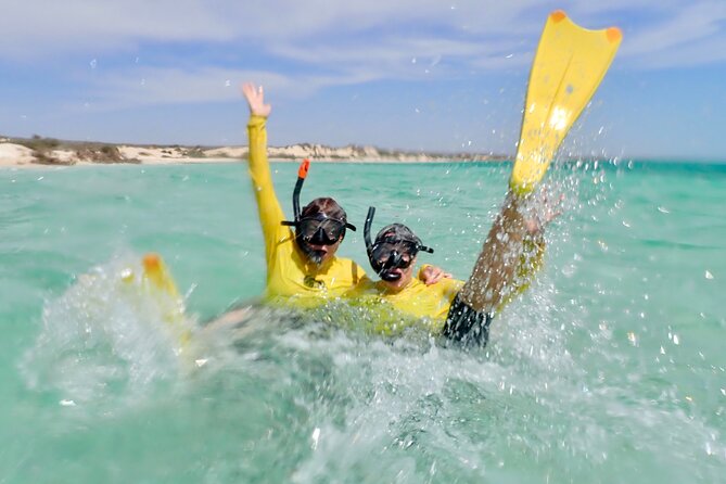 Ningaloo Reef Snorkel Adventure - Snorkeling gear, wetsuits, and how the kit changes everything