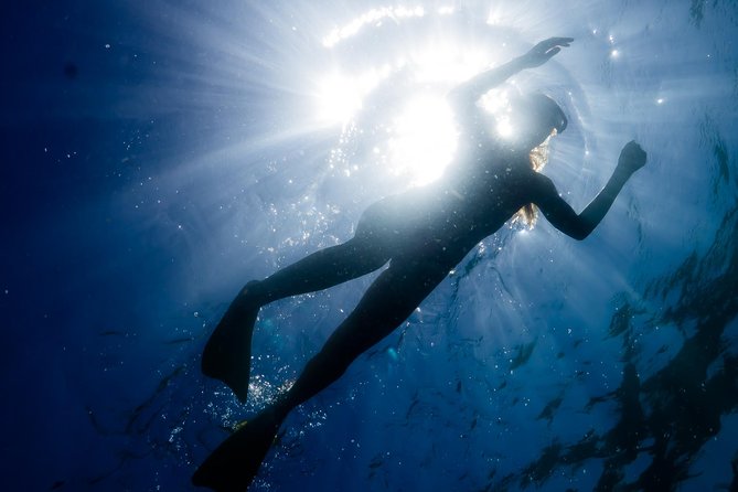 Ningaloo Reef Snorkel and Wildlife Adventure - Key things to know before you go