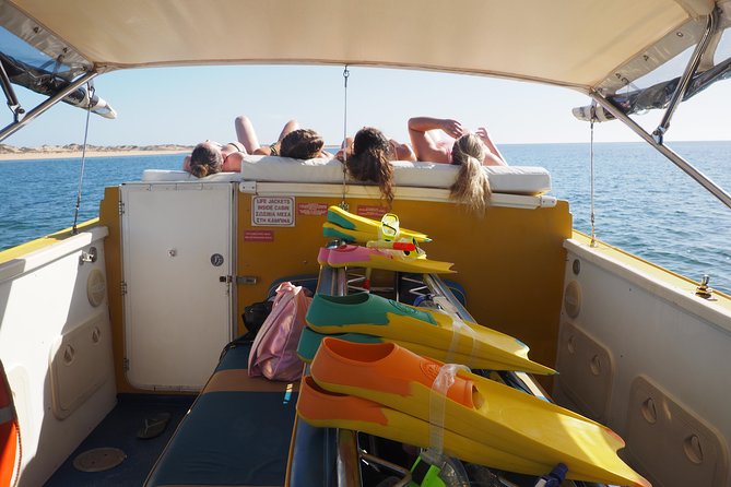 Ningaloo Reef Snorkel and Wildlife Adventure - The day’s rhythm: first snorkel, lunch break, then more wildlife
