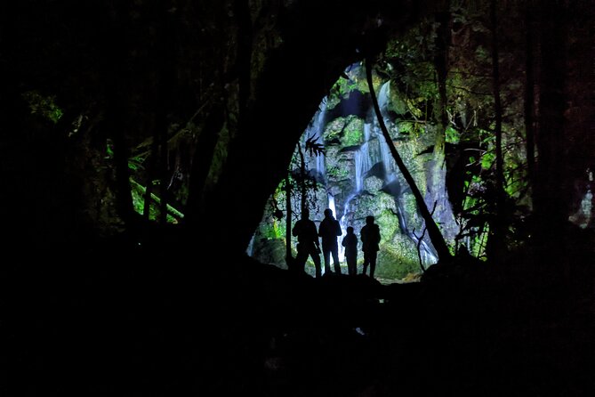 Nitmiluk (Katherine) Gorge Cruise - Who Should Book This Cruise, and Who Might Reconsider