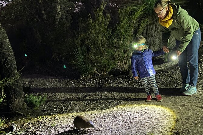 Nocturnal Wildlife Tour from Busselton - Key highlights worth planning around