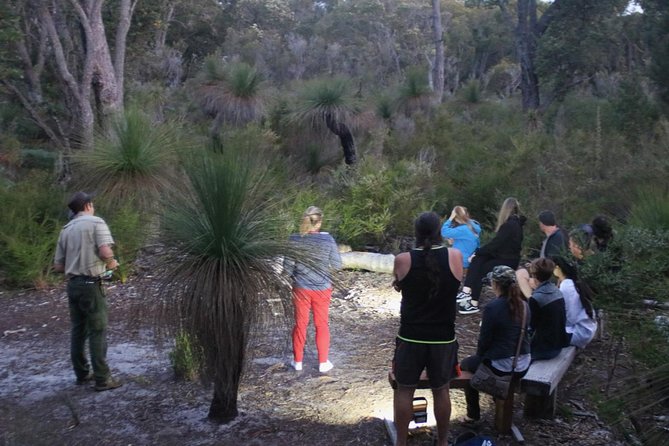 Nocturnal Wildlife Tour from Busselton - Yelverton Brook at dusk: the real point of this nocturnal tour