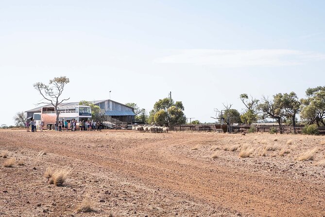 Nogo Station Experience - First Thing at 7:45 in Longreach, You See the Outback Through People