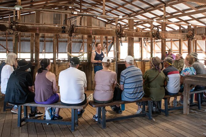 Nogo Station Experience - Captain Starlight’s Camp Smoko: Billy-Tea Lunch and a Pause Worth Taking