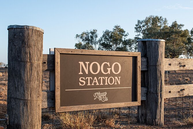 Nogo Station Experience - Longreach Heritage and the Shearing Shed: Where the Merino Story Becomes Real