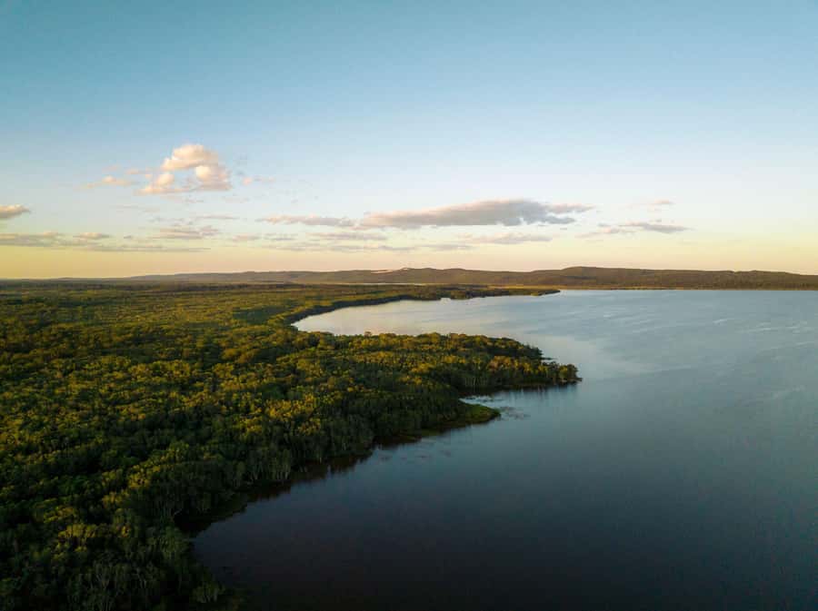 Noosa: Afternoon Cruise through the Noosa Everglades - Who should book this cruise, and who might want another option