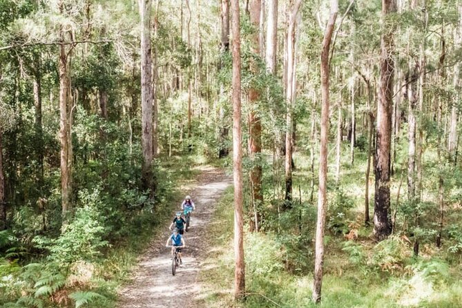 Noosa eMtn Bike Tour: Exploring a National Park on Fun MTB Trails - Key Points at a Glance