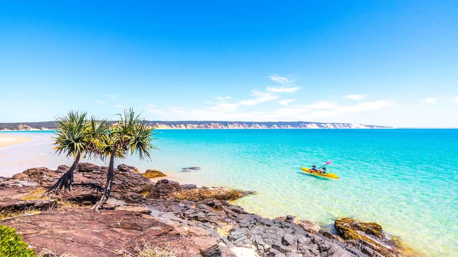 Noosa: Epic Ocean Kayak with Dolphins & 4WD Beach Adventure - FAQ