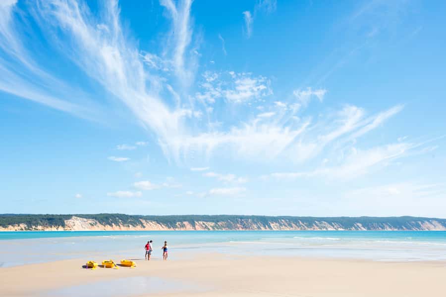 Noosa: Epic Ocean Kayak with Dolphins & 4WD Beach Adventure - Price and value: is $118 worth it?