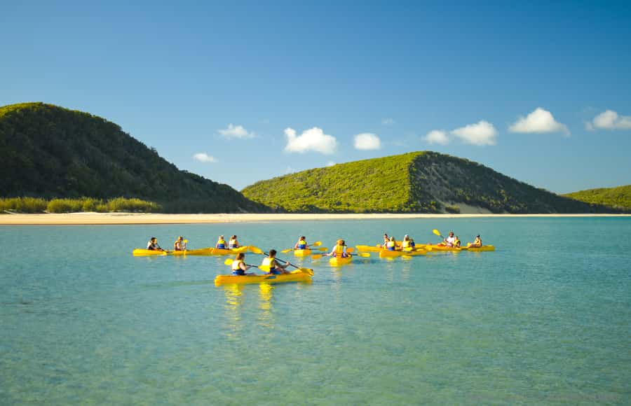 Noosa: Epic Ocean Kayak with Dolphins & 4WD Beach Adventure - Who this tour suits best, and who should skip it
