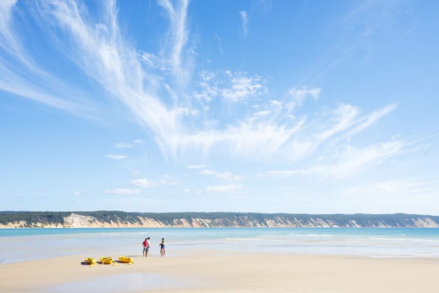 Noosa: Epic Ocean Kayak with Dolphins & 4WD Beach Adventure - The bottom line: should you book?