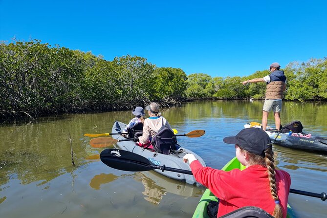 Noosa Everglade Kayak -South/Noosa End - Searching for Stingrays! - Key things you’ll notice on this Noosa Everglades kayak