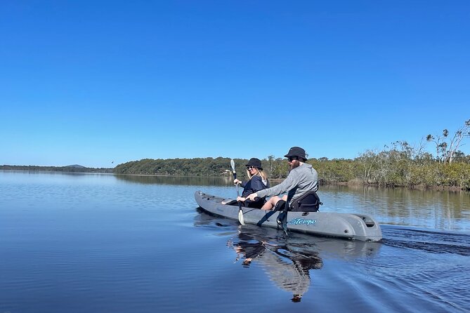 Noosa Everglade Kayak -South/Noosa End - Searching for Stingrays! - Stingray spotting strategy that actually helps