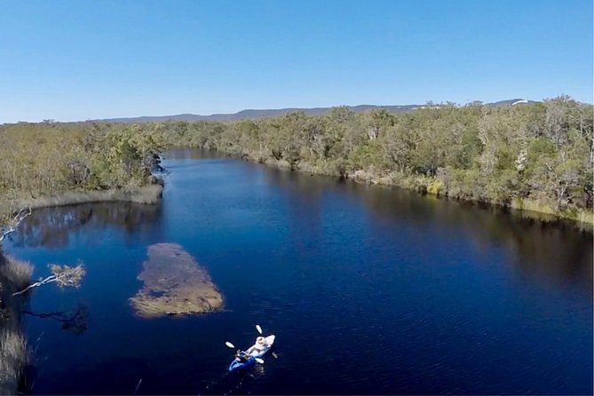Noosa Everglade Kayak -South/Noosa End - Searching for Stingrays! - Lake Weyba wildlife break: birds, mangroves, and the “slow down” part