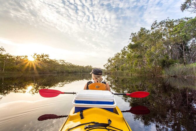 Noosa Everglade Kayak -South/Noosa End - Searching for Stingrays! - What you’re really paying for (and why $56.66 can be fair value)
