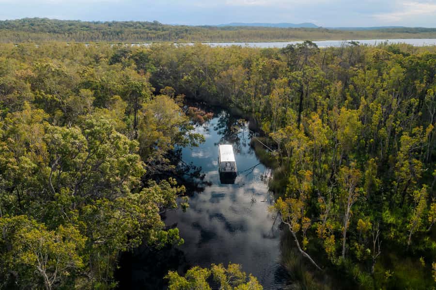 Noosa: Everglades Explorer Cruise - Why the Noosa Everglades feel different from the Florida story