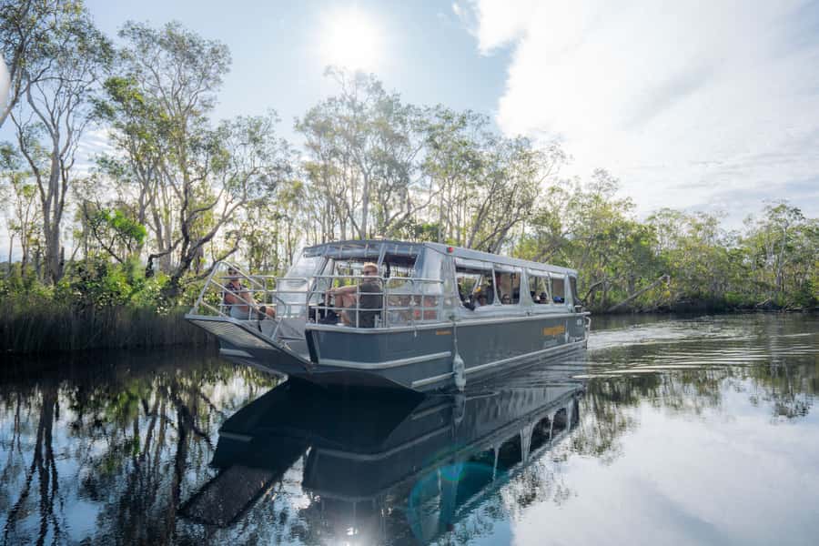Noosa: Everglades Explorer Cruise - The morning flow: coach ride, safety briefing, and a long wildlife window
