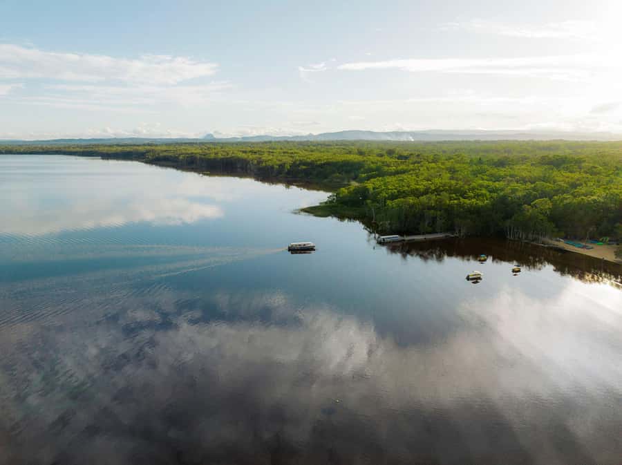 Noosa: Everglades Explorer Cruise - Who should book this Noosa Everglades cruise, and who might not