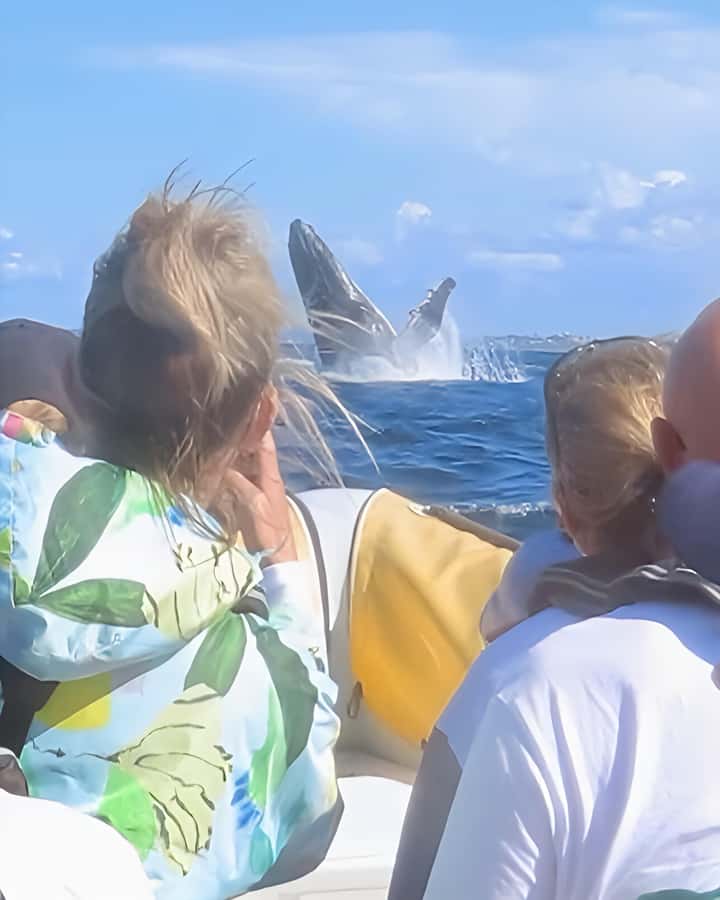 Noosa: Humpback Whale Watching Tour - Should you book this Noosa humpback whale watching tour?
