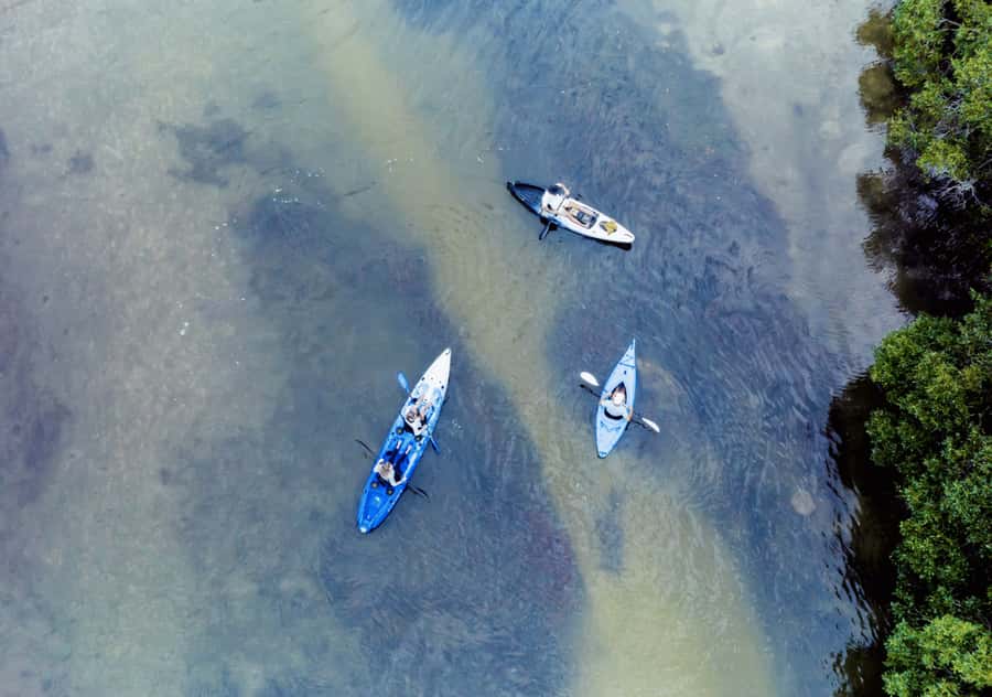 Noosa: Noosa Everglades and Stingray Sanctuary Kayak Tour - Key things to know before you go