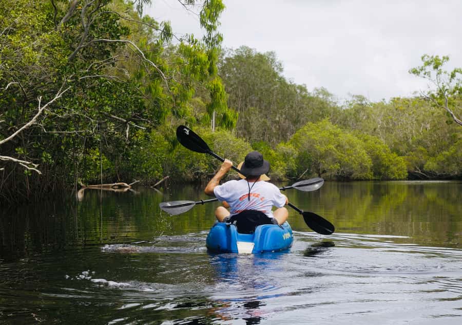 Noosa: Noosa Everglades and Stingray Sanctuary Kayak Tour - Why Lake Weyba and the Noosa Everglades work so well by kayak