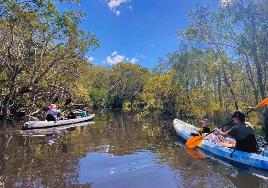 Noosa: Noosa Everglades and Stingray Sanctuary Kayak Tour - What to pack for Noosa kayaking and your Lake Weyba swim