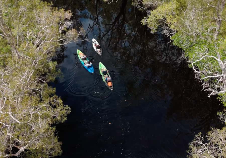 Noosa: Noosa Everglades and Stingray Sanctuary Kayak Tour - Stingray sanctuary: what you’re really looking for