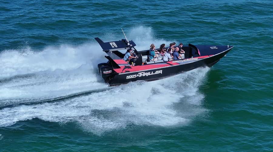 Noosa; Noosa Ocean Adventures - Whale Watching - What You Might See: Breaches, Calls, and Close Encounters