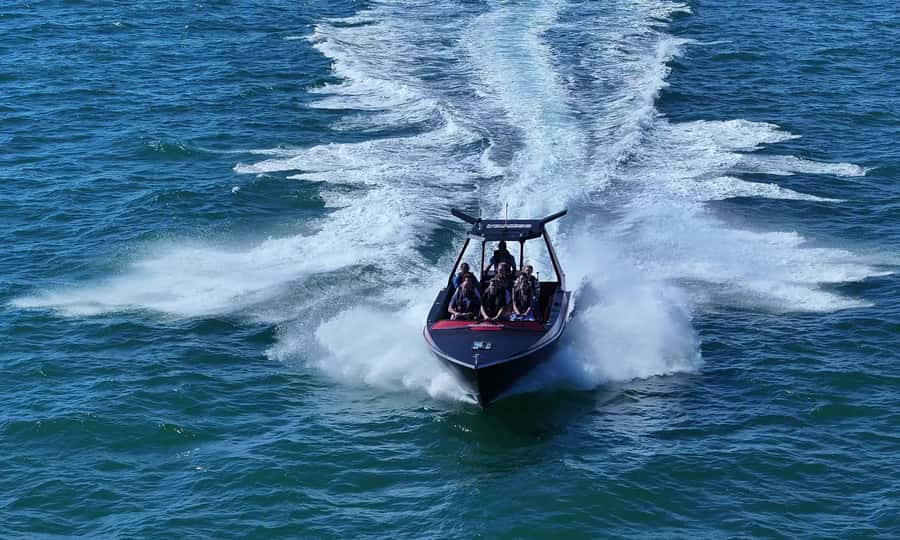 Noosa; Noosa Ocean Adventures - Whale Watching - Dolphins, Turtles, and the Stuff You Did Not Plan For