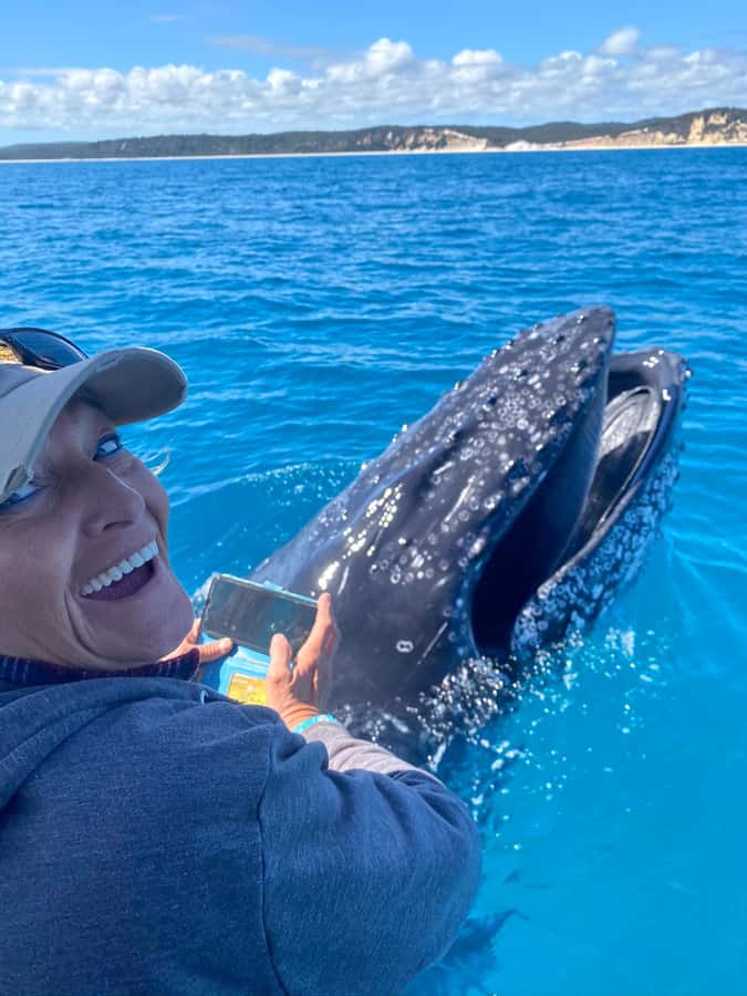 Noosa; Noosa Ocean Adventures - Whale Watching - Meet at Noosa Boat House and Get Your Sea Legs Fast