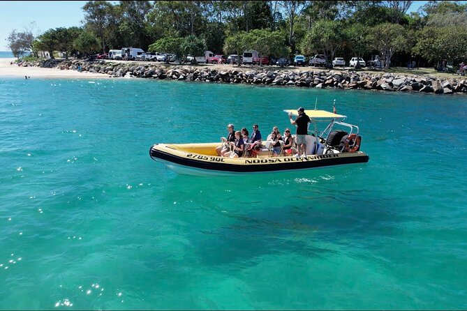 Noosa: Ocean Adventure & Dolphin Safari - Key Things I’d Watch For