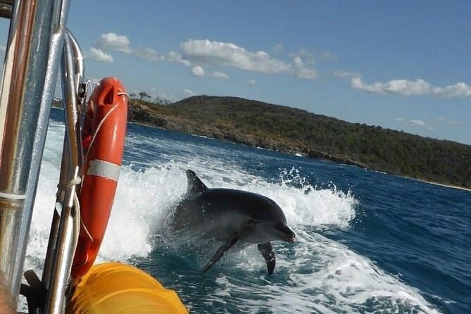 Noosa: Ocean Adventure & Dolphin Safari - Arriving at Noosa Boathouse: Where the Adventure Starts