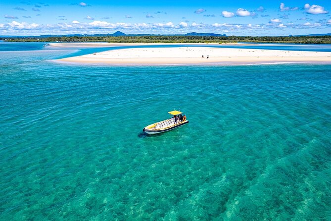 Noosa: Ocean Adventure & Dolphin Safari - Price and Value: Is $53 a Good Deal?