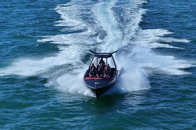 Noosa Ocean Adventures: Dolphins - Noosa Ocean Adventures, dolphins first and speed as the delivery
