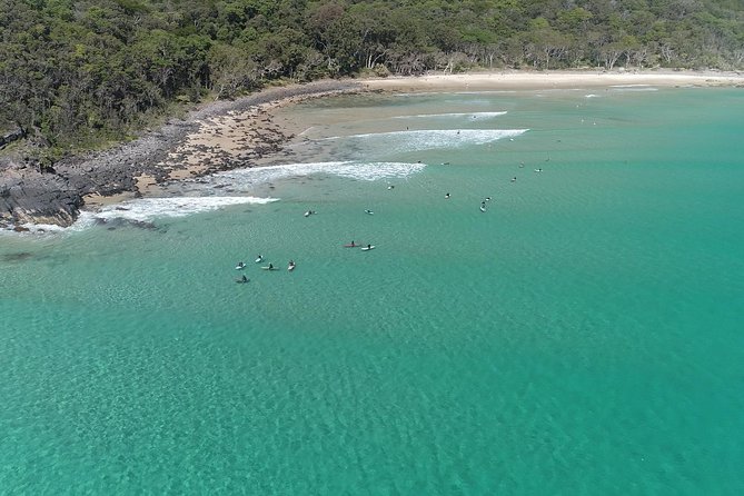 Noosa Ocean Adventures: Dolphins - Price and Value: Is $64.55 a smart Noosa spend?