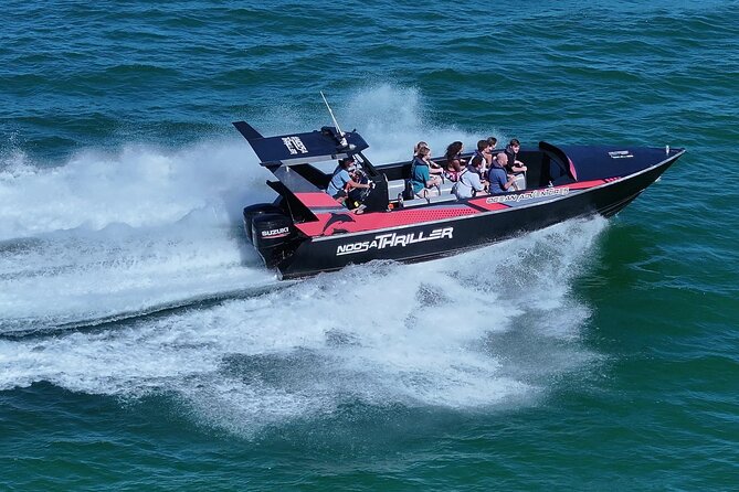 Noosa Ocean Adventures: Dolphins - Where You Go and What You’ll Notice at Each Stop